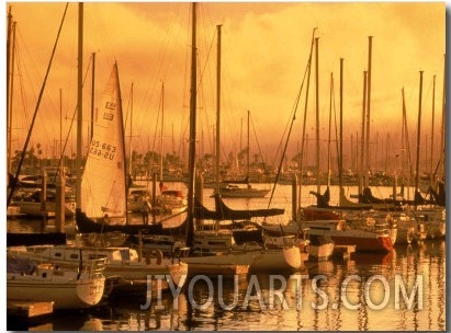 Docked Sailboats, San Diego Harbor, CA