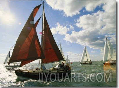 Red Sailed Sailboat and Others in a Race on the Chesapeake Bay