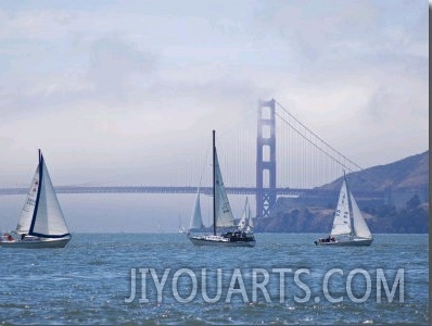 Sailing Boats with the Golden Gate Bridge and Summer Fog in Background, San Francisco, California