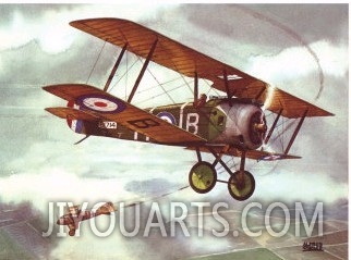 Sopwith Camel, 1917