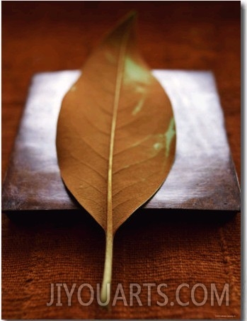 Sepia Leaf