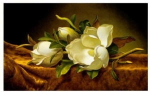 Magnolias on Gold Velvet Cloth