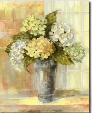 Yellow Hydrangea