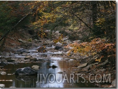 Autumnal View of This Picturesque River