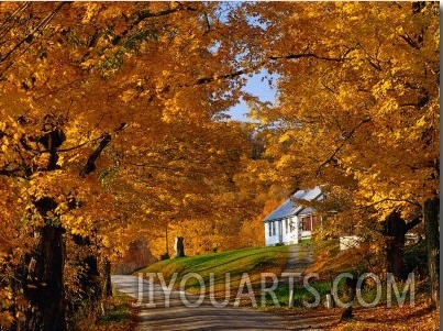 Country Road in Autumn, USA