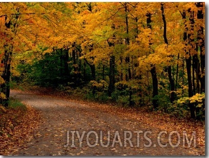 Rural Road in Autumn