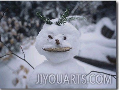 A Smiling Snowman with Twig Arms