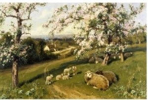 Spring Lambs