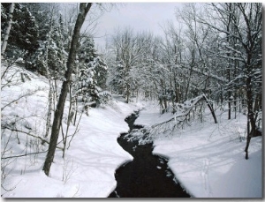 Winter View Taken at Camels Hump State Park