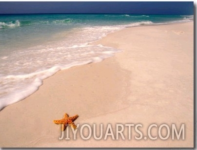 Gulf Island National Seashore, Santa Rosa Island, Florida