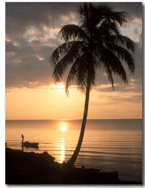 Sunrise with Man in Boat and Palm Tree, Belize