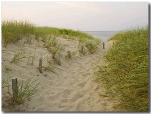 Path at Head of the Meadow Beach, Cape Cod National Seashore, Massachusetts, USA