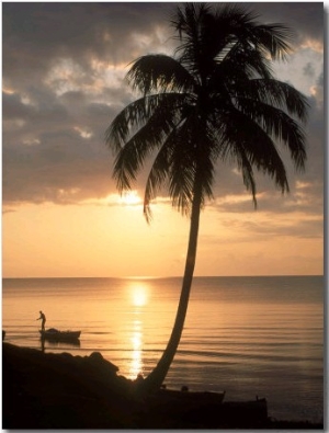 Sunrise with Man in Boat and Palm Tree, Belize