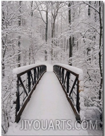 A View of a Snow Covered Bridge in the Woods