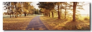 Autumn Road, Monadnock Mountain, New Hampshire, USA