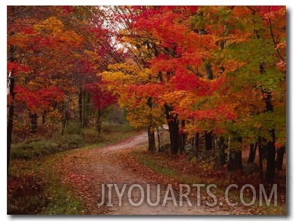 Country Road in the Fall, Vermont, USA