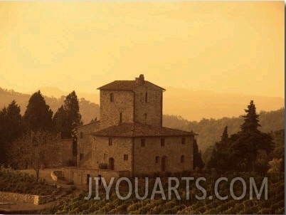 Farms and Vines, Tuscany, Italy