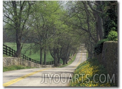 Old Iron Works Road, Lexington, Kentucky, USA