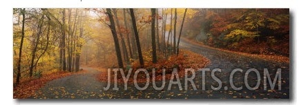 Winding Road Through Mountainside in Autumn, Monadnock Mountain, New Hampshire, USA