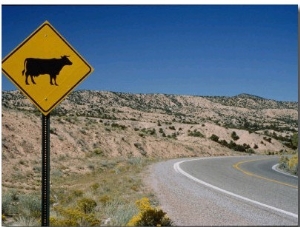 A Stretch of Road in New Mexico with a Yellow Cattle Crossing Sign