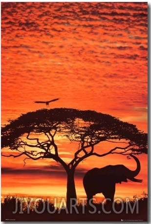 African Sunset