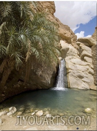 Desert Oasis, Chebika, Tunisia, North Africa, Africa