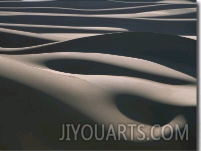 The Light Casts a Luminous Glow over the Sand Dunes of the Sahara