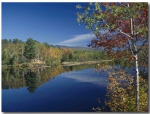 A Lake Surrounded by Trees Displaying the Colors of Autumn