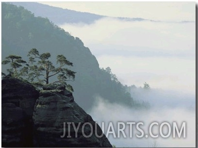 Early Morning Fog Rises over the Elbe River in Elbsandstein Region