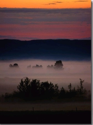 Mist Over Countryside, Calgary, Canada