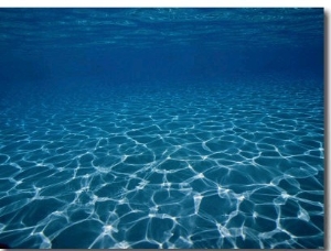 Sunlight Reflects on the Sea Floor Through Crystal Clear Blue Water