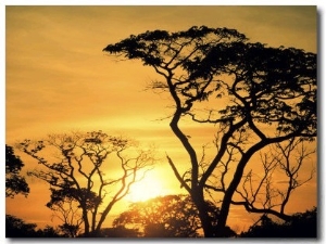 Botswana, Kalahari Desert, Sunset