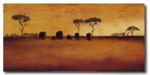 Serengeti II