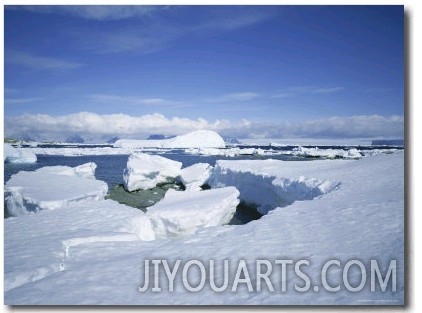 Coastal Landscape, Antarctic Peninsula, Antarctica, Polar Regions