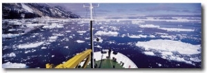 Pack Ice, Ross Sea, Antarctica