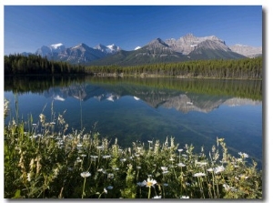 Bow Mountain Range and Herbert Lake, Banff National Park, Alberta, Canada