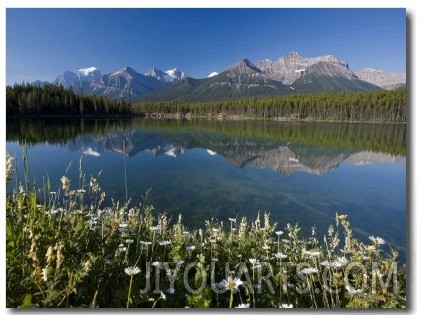 Bow Mountain Range and Herbert Lake, Banff National Park, Alberta, Canada