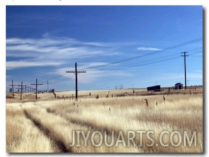 Praire Road, Saskatchewan, Canada