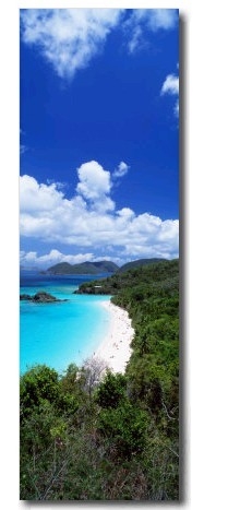 Trunk Bay, Saint John, US Virgin Islands, USA