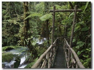 Trail in Cloud Forest, La Paz Waterfall Gardens, Central Valley, Costa Rica