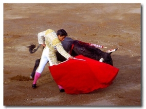 Matador at Monumental El Paso, Bullfight (Fiesta Brava), San Luis Potosi, Mexico