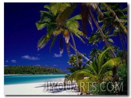 Beach with Palm Trees on Island in Aitutaki Lagoon,Aitutaki,Southern Group, Cook Islands