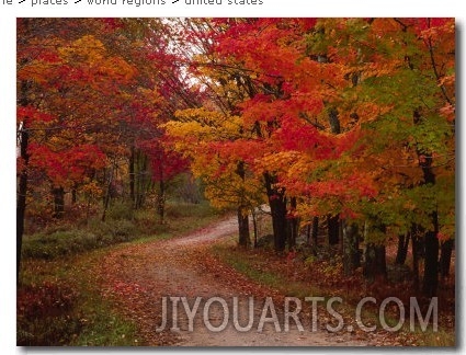 Country Road in the Fall, Vermont, USA