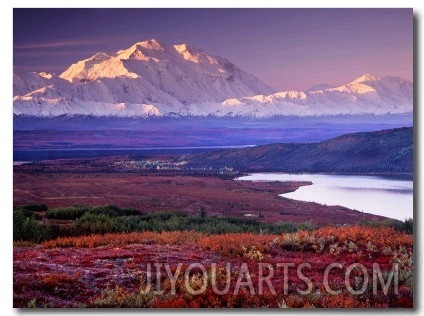 Denali National Park near Wonder Lake, Alaska, USA