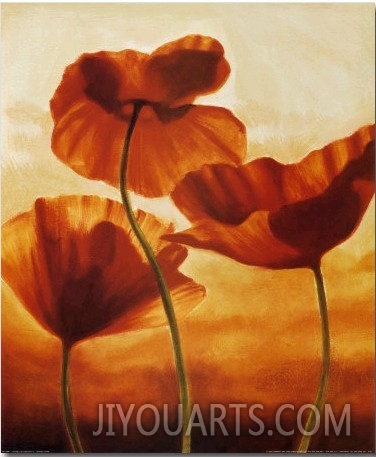 Poppies in Sunlight II