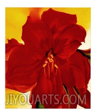 Red Amaryllis, 1937