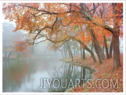 Autumn Reflections