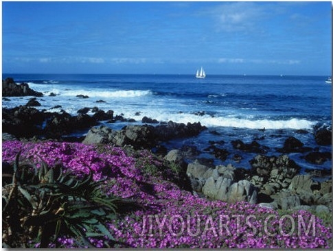 The Monterey Penninsula on a Spring Day