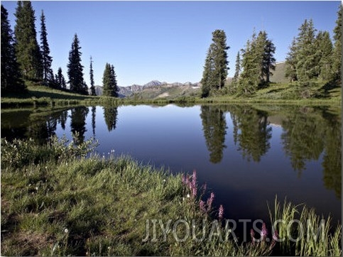 Paradise Divide, Grand Mesa Uncompahgre Gunnison National Forest, Colorado