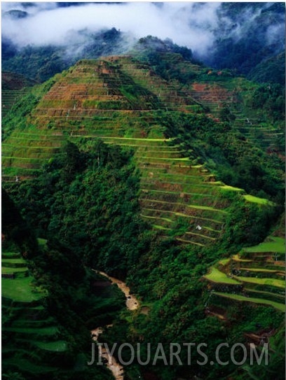 Rice Terraces Around Banaue, Banaue, Philippines